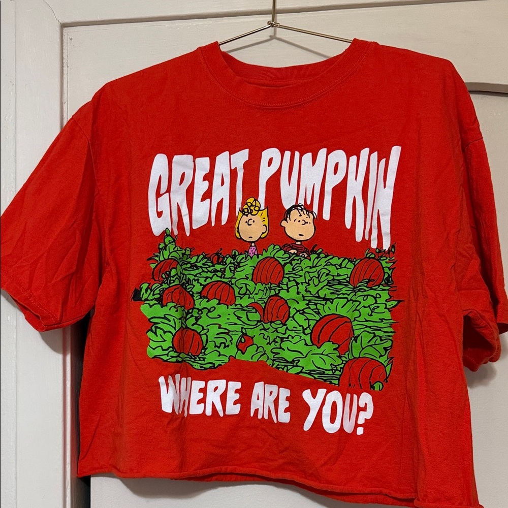 Snoopy Peanuts Charlie Brown Crop Top
